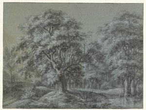 水のある森の風景 作： Simon de Vlieger
