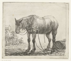 休息中の主力製品 いろいろな動物（シリーズタイトル） Beesjes van de Vlieger (シリーズタイトル) 作： Simon de Vlieger
