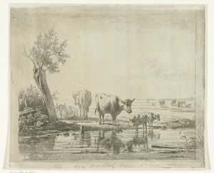 水の近くに牛がいる牧草地の風景 作： Simon van den Berg