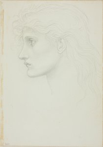 左向きの女の子の頭 作： Sir Edward Burne Jones