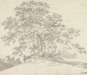木 作： Sir George Howland Beaumont seventh Baronet