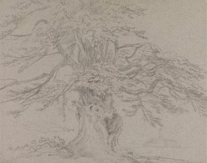 木の研究 作： Sir George Howland Beaumont seventh Baronet