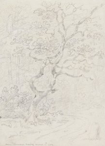 Árvores, Perto de Lausanne 作： Sir George Howland Beaumont seventh Baronet