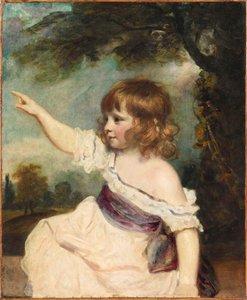 マスター ヘアとして知られるフランシス ジョージ ヘア 1786 ～ 1842 年の肖像、1788 ～ 1789 年。 作： Sir Joshua Reynolds