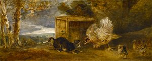 猫の攻撃から鶏を守る鶏