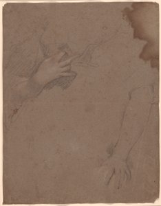手のデッサン 作： Sir Peter Lely