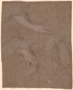 手のデッサン 作： Sir Peter Lely