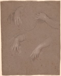 Drawings of Hands   1447162   ja       japanese Successfully Translated  Original: Portrait of Young Man, by Giovanni Battista Moroni (ca 1525-1578), oil on canvas, 44,4x56,9 cm Translat: Portrait of Young Man, by Giovanni Battista Moroni (ca 1525-1578), o 作： Sir Peter Lely