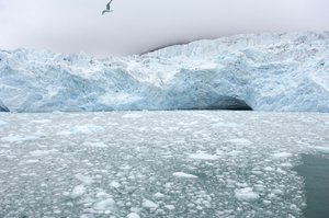 2022年、ノルウェー、スバールバル諸島の北極海に浮かぶ氷河。
