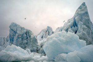 ノルウェー、スピッツベルゲン島周辺の北極海に浮かぶ氷山（2022年）。