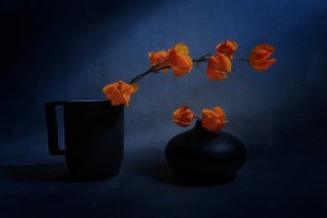 秋のランタンの静物画
