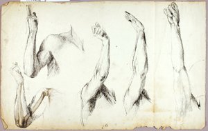 腕の研究 第2回 作： Solon H. Borglum