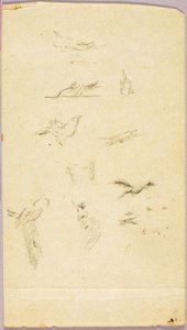 鳥類 作： Solon H. Borglum
