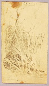 葉 作： Solon H. Borglum