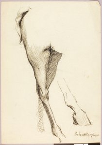 馬の研究 作： Solon H. Borglum