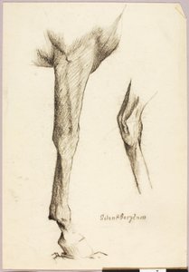 馬の研究 作： Solon H. Borglum