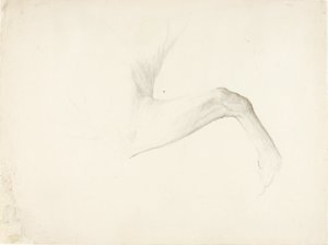 馬の足 作： Solon H. Borglum