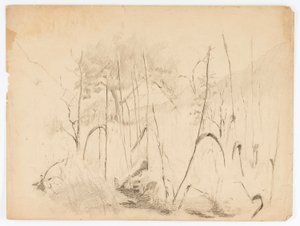 風景 作： Solon H. Borglum
