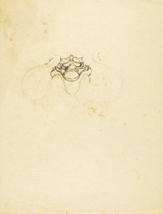 骨盤 作： Solon H. Borglum