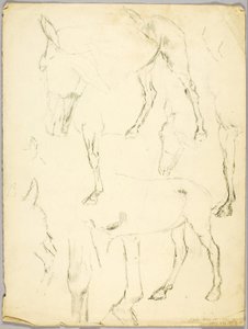 肖像画の習作、馬の習作 作： ソロン・H・ボーグラム