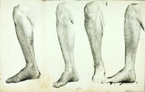 解剖学研究 第5回 作： Solon H. Borglum