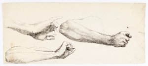 三本腕の研究 作： Solon H. Borglum