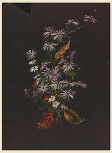 秋のブーケ 1890年頃 作： Sophia L. Crownfield