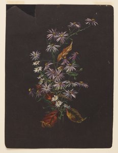 秋の花束の習作 作： Sophia L. Crownfield
