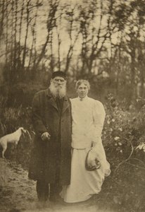 ロシアの作家レオトルストイとその妻ソフィアトルスタヤ、ロシア、1895 作： Sophia Andreevna Tolstaya