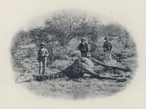 トランスバールでのビッグゲーム・ハンティング（モノクロ写真 作： South African Photographer