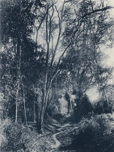 Lydenburg地区の風景（モノクロ写真 作： South African Photographer