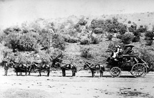 1895年頃、プレトリアに入る駅馬車 作： South African Photographer