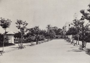 カディス：Alameda de Apodaca（モノクロ写真