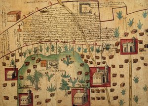 Ayer MS 1801地図1：メキシコのハシエンダデサンタイネスに隣接するトゥルテペックとジャルトカン地域の土地の地図、1569年公開