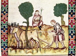 Fol.237r息子に畑を耕すように教える農夫 作： Spanish School