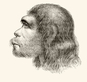 「ヌエストロシグロ」からのネアンデルタール人の頭は、1883年にバルセロナを公開 作： Spanish School