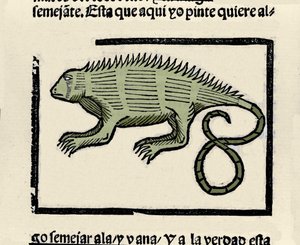 イグアナを表現しています。Gonzalo Fernandez de Oviedo (Gonzalo) or Fernandez de, ou Hernandez de Oviedo y Valdes (1478-1557)の著書「Historia general de las Indias, islas y tierra firme del mar oceano」からの挿絵。