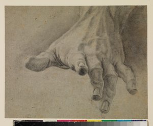 左手の研究、18世紀 作： Spanish School