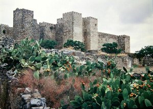 城の眺め 作： Spanish School