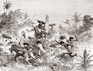 エドワールフランソワアンドレは、ベネズエラのビリャビセンシオで1875年から76年にかけてアンデス山脈の麓で植物探検をしているときに蝶を捕まえました。 作： Spanish School