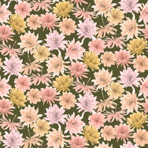 モハベ砂漠の花模様、2021年（黒鉛筆＆デジタル） 作： Stacy Hsu