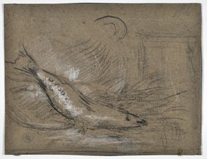 魚の研究（描画） 作： Stanislas Torrents y de Amat