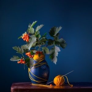 サンザシの実と毛糸 作： Stanislav Aristov