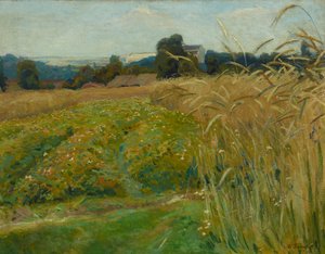 Paisagem nos arredores de Cracóvia 作： Stanislaw Kamocki