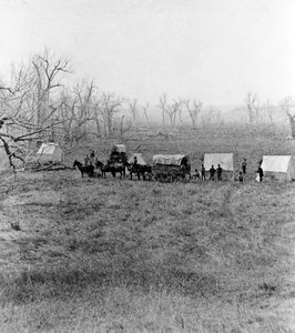 次のアーティストによるアート作品 Stanley J Morrow