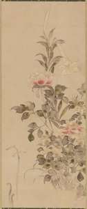 牡丹とユリ、桃山または江戸時代、1568-1615。 作： Sôtatsu