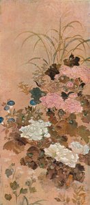 「夏の花」、c1615 作： Sôtatsu