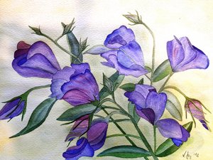 紫の花