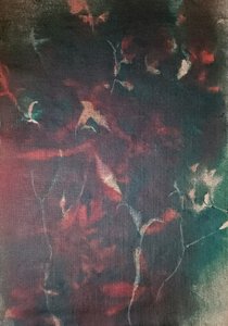  作： Stefano Mazzolini