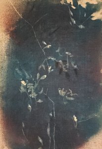 作： Stefano Mazzolini
